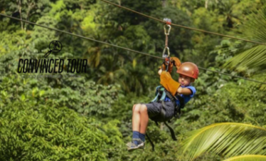 Zipline – Adventure